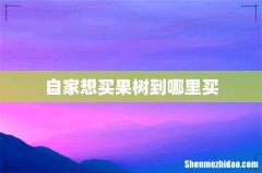 自家想买果树到哪里买
