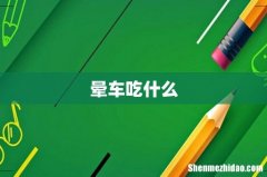 晕车吃什么