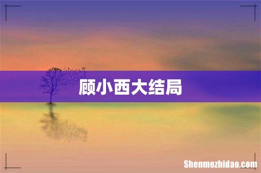 顾小西大结局