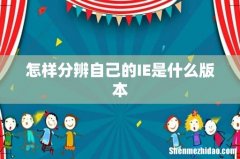 怎样分辨自己的IE是什么版本