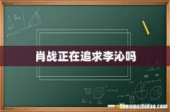 肖战正在追求李沁吗