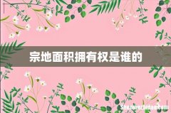 宗地面积拥有权是谁的