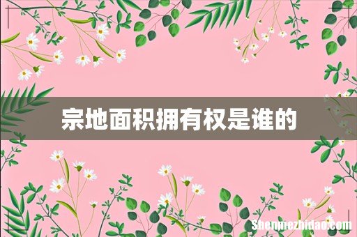 宗地面积拥有权是谁的
