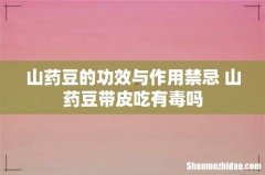 山药豆的功效与作用禁忌 山药豆带皮吃有毒吗