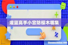 灌篮高手小宫防樱木哪集