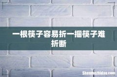 一根筷子容易折一捆筷子难折断