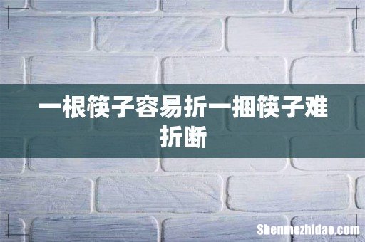 一根筷子容易折一捆筷子难折断
