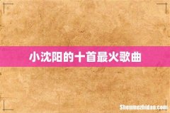 小沈阳的十首最火歌曲