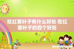 吃红薯叶子有什么好处 吃红薯叶子的四个好处