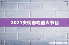2021央视春晚最火节目