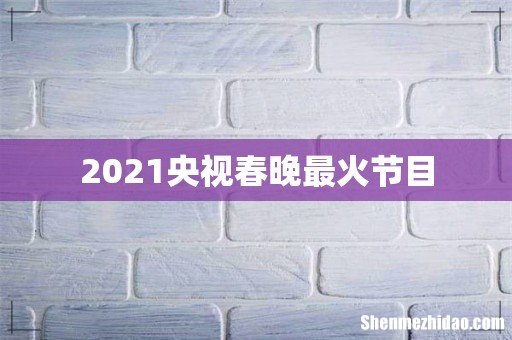 2021央视春晚最火节目