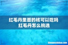 红毛丹里面的核可以吃吗 红毛丹怎么挑选