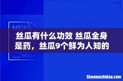 丝瓜有什么功效 丝瓜全身是药，丝瓜9个鲜为人知的功效！