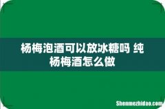 杨梅泡酒可以放冰糖吗 纯杨梅酒怎么做