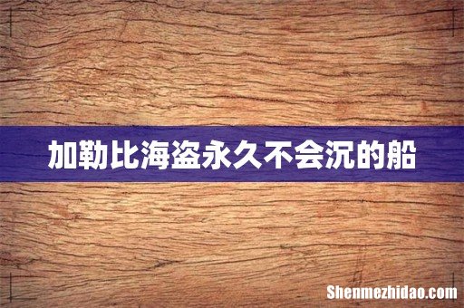 加勒比海盗永久不会沉的船