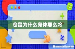 仓鼠为什么身体那么冷