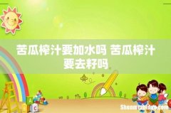 苦瓜榨汁要加水吗 苦瓜榨汁要去籽吗