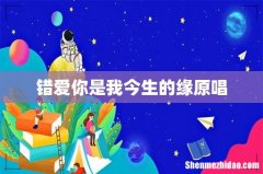 错爱你是我今生的缘原唱