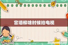 宫墙柳啥时候拍电视