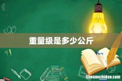 重量级是多少公斤