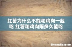 红薯为什么不能和鸡肉一起吃 红薯和鸡肉隔多久能吃