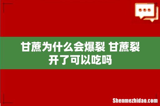 甘蔗为什么会爆裂 甘蔗裂开了可以吃吗