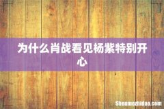 为什么肖战看见杨紫特别开心