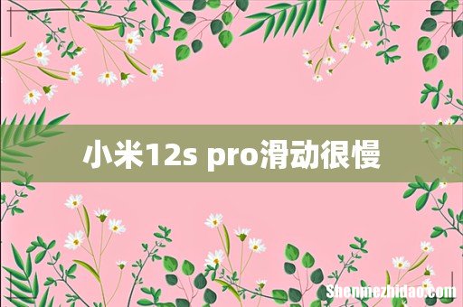 小米12s pro滑动很慢