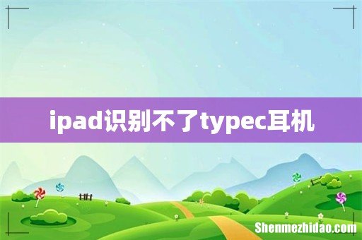 ipad识别不了typec耳机