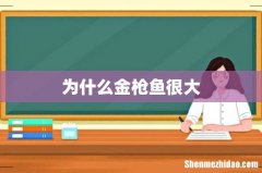 为什么金枪鱼很大