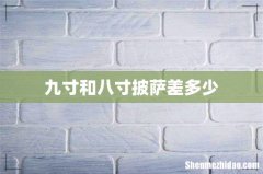 九寸和八寸披萨差多少