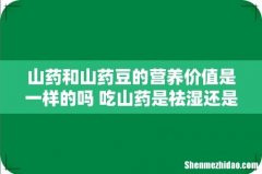 山药和山药豆的营养价值是一样的吗 吃山药是祛湿还是助湿