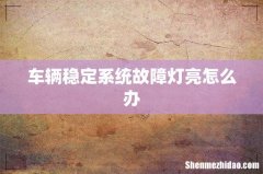 车辆稳定系统故障灯亮怎么办