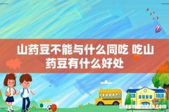山药豆不能与什么同吃 吃山药豆有什么好处