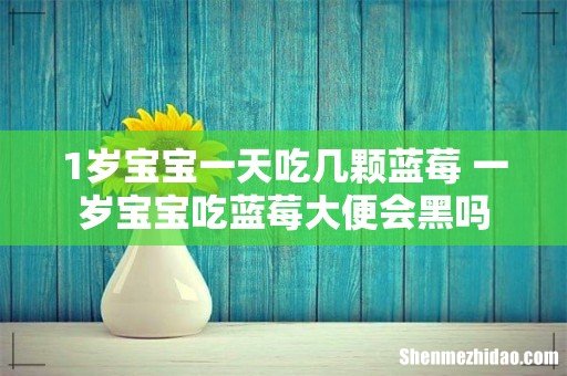 1岁宝宝一天吃几颗蓝莓 一岁宝宝吃蓝莓大便会黑吗