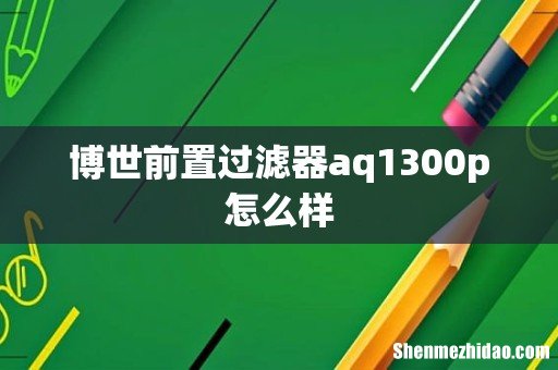 博世前置过滤器aq1300p怎么样