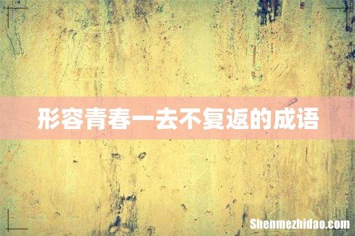 形容青春一去不复返的成语