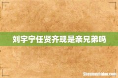 刘宇宁任贤齐现是亲兄弟吗