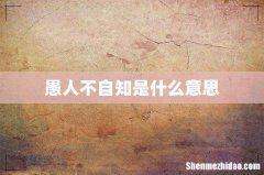 愚人不自知是什么意思