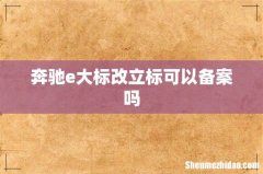 奔驰e大标改立标可以备案吗