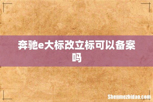 奔驰e大标改立标可以备案吗
