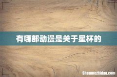 有哪部动漫是关于星杯的