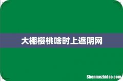 大棚樱桃啥时上遮阴网