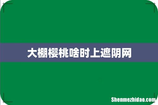 大棚樱桃啥时上遮阴网