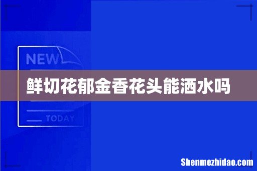 鲜切花郁金香花头能洒水吗