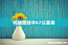 机械图纸中h7公差表