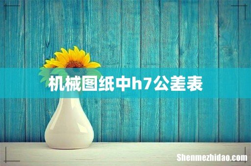 机械图纸中h7公差表