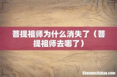 菩提祖师去哪了 菩提祖师为什么消失了