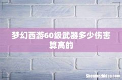 梦幻西游60级武器多少伤害算高的