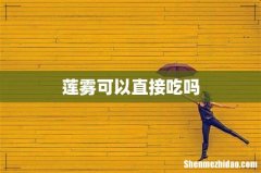 莲雾可以直接吃吗